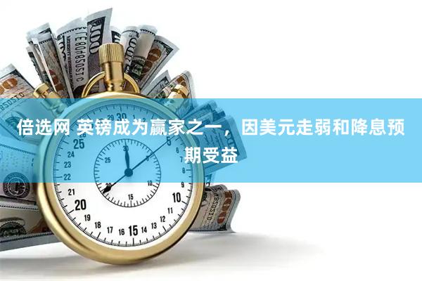 倍选网 英镑成为赢家之一，因美元走弱和降息预期受益