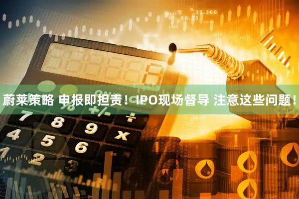 蔚莱策略 申报即担责！IPO现场督导 注意这些问题！