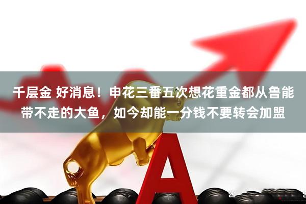 千层金 好消息！申花三番五次想花重金都从鲁能带不走的大鱼，如今却能一分钱不要转会加盟