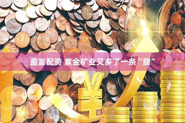 盈富配资 紫金矿业又多了一条“腿”